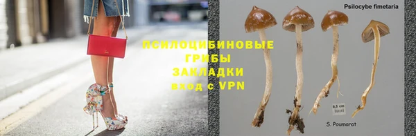 мескалин Белокуриха