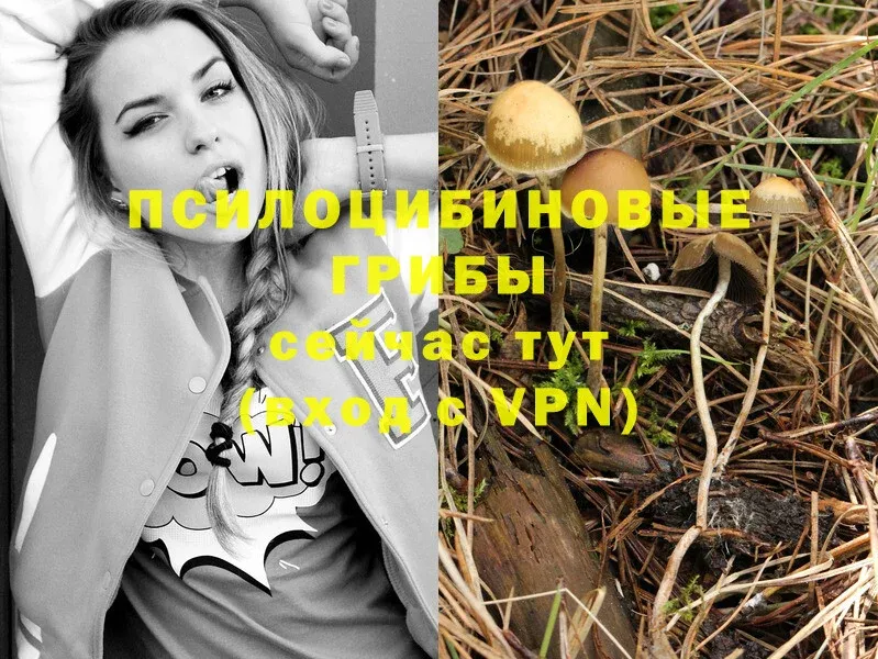 Галлюциногенные грибы MAGIC MUSHROOMS  Буинск 