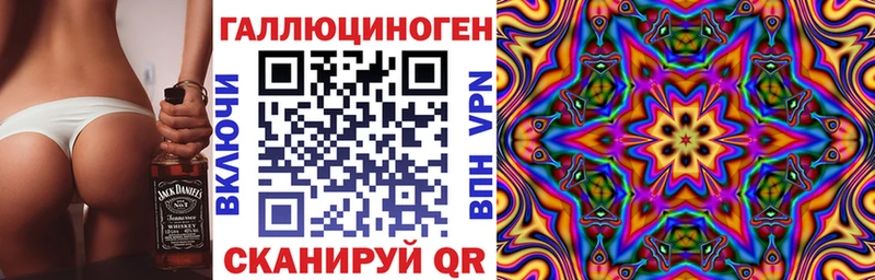 Псилоцибиновые грибы Cubensis  Буинск 